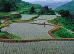 JNPについて ｜ 日本風景写真協会